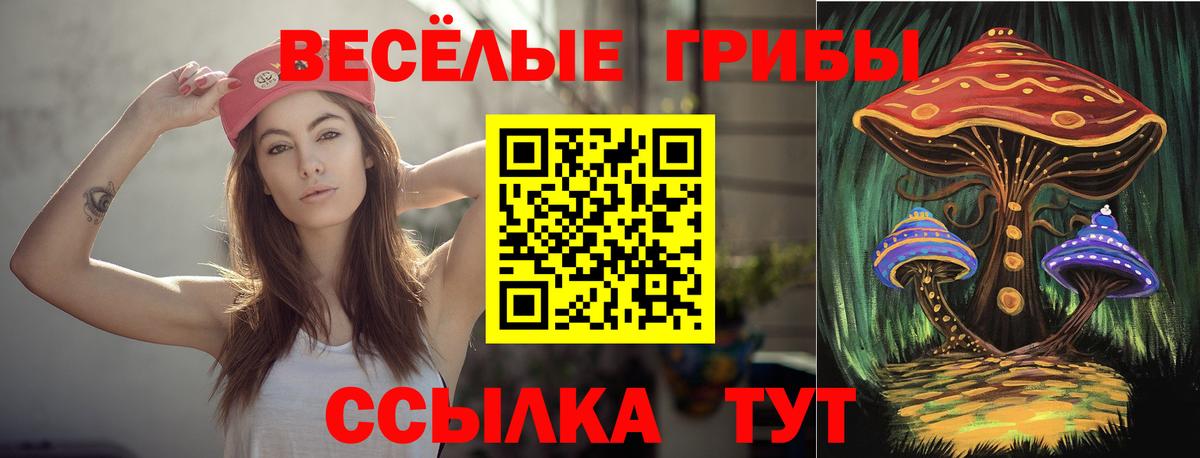 Галлюциногенные грибы Magic Shrooms Саяногорск
